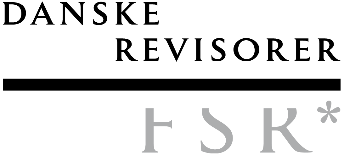 Revisor i Sønderborg tilbyder professionel revision | Logo